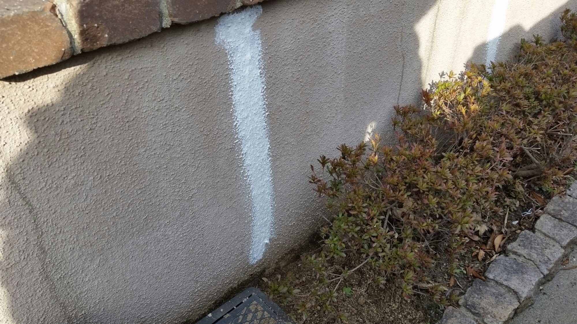 20150227_155524.jpg image