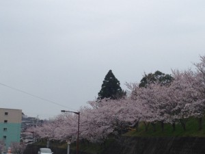 IMG_4925