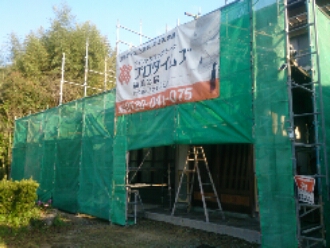 DSC_0244.jpg image