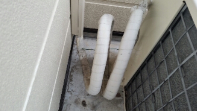 20150401_085141.jpg image