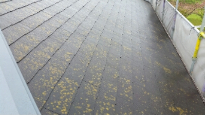 20150410_120435.jpg image