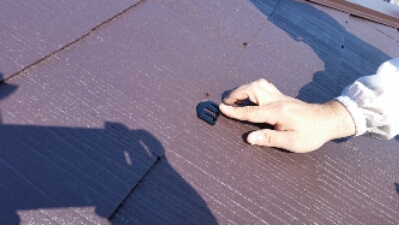 20150417_084217.jpg image