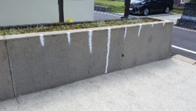 20150507_133142.jpg image