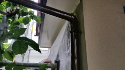 20150607_165018.jpg image