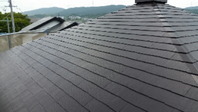 20150615_115307.jpg image