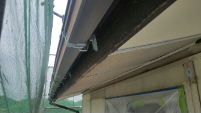 20150617_093143.jpg image