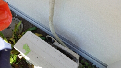 20150629_131839.jpg image