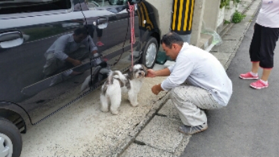 20150819_085117.jpg image