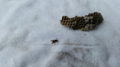 20150829_114913.jpg image