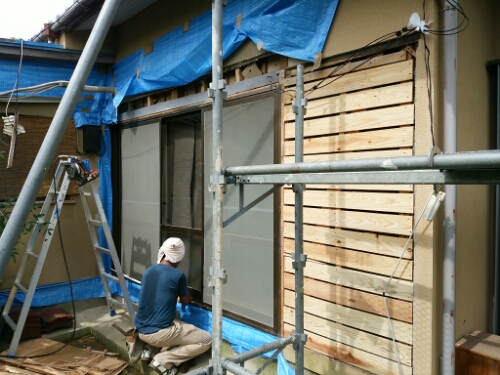 DSC_3833.jpg image