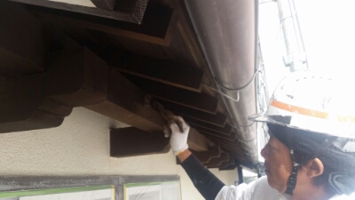 20151005_132749.jpg image