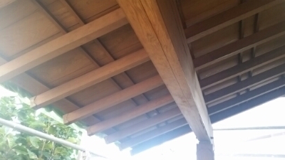 20151005_163941.jpg image