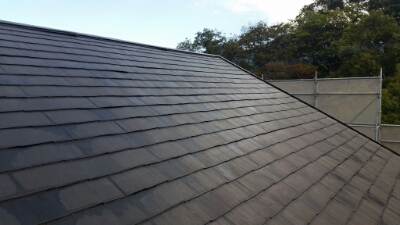 20151102_084916.jpg image