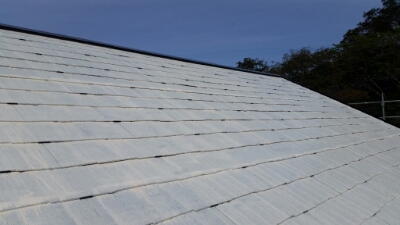 20151111_115339.jpg image