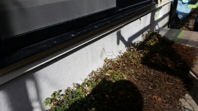 20151115_125820.jpg image