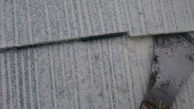 wp-1450851638599 image