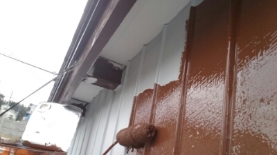 wp-1456130605609 image