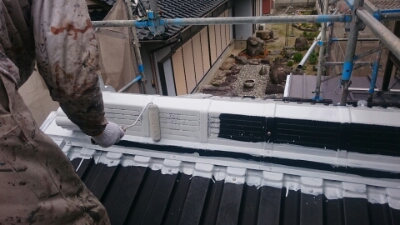 wp-1456130633005 image