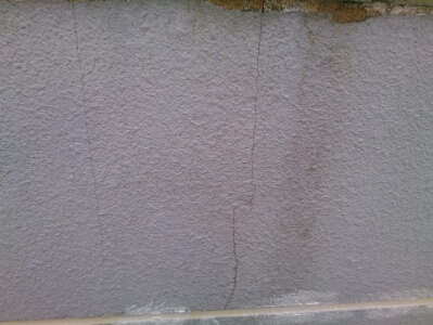 DSC_0161.jpg image