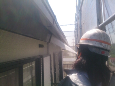 DSC_0179.jpg image