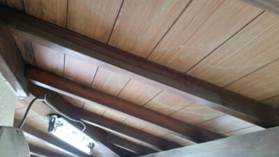 20160513_092051.jpg image