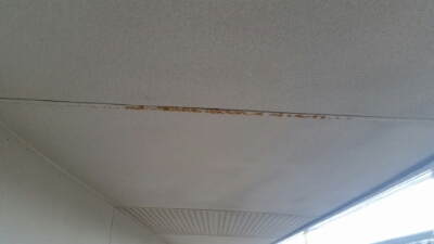 20160617_155331.jpg image