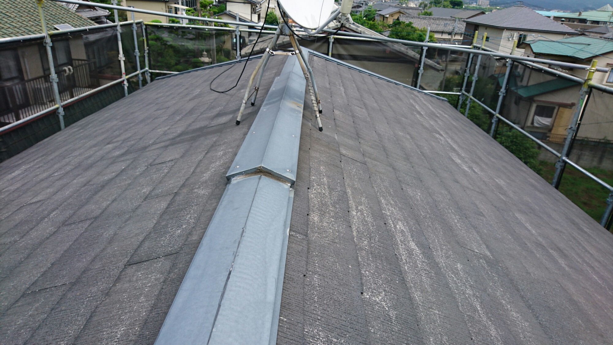 wp-1465284517934 image