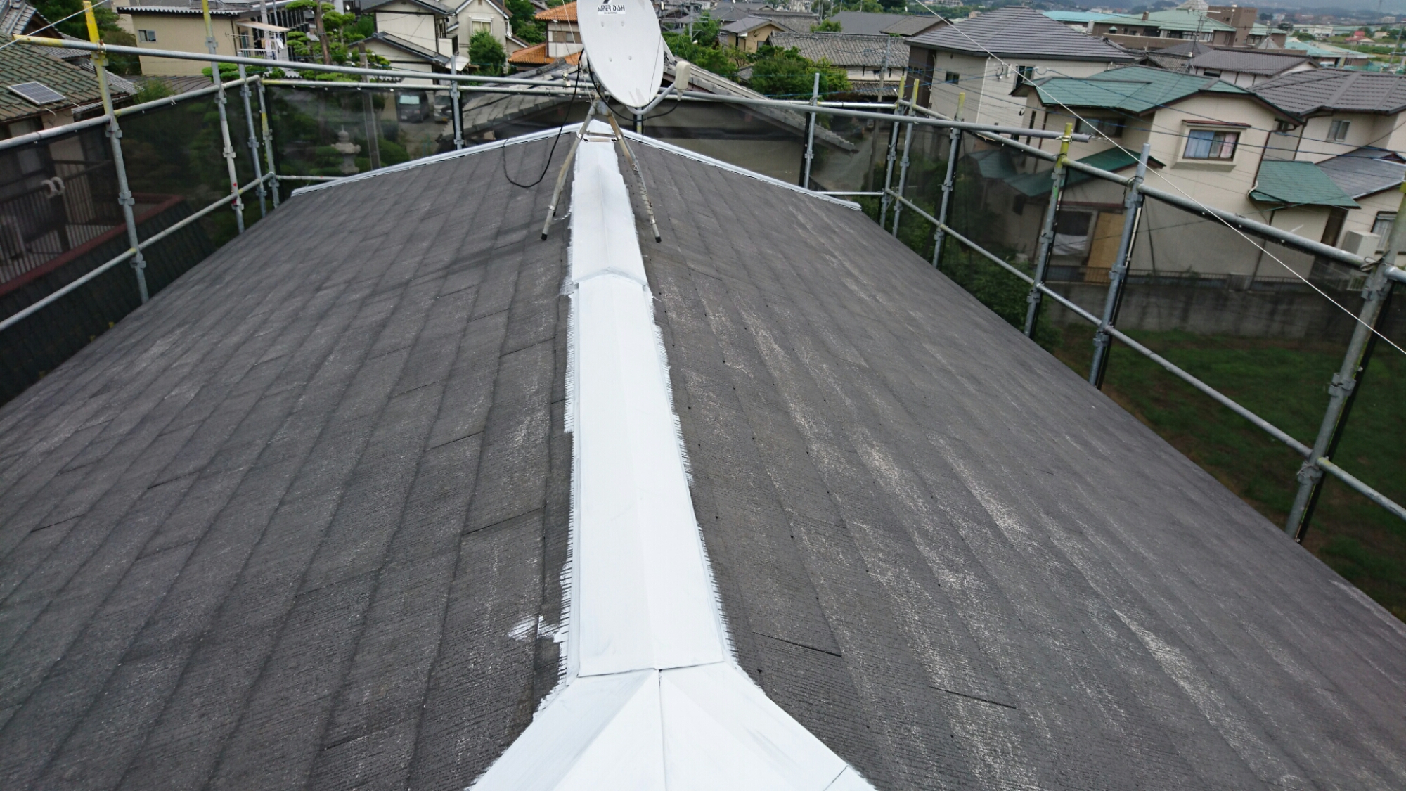 wp-1465284531873 image