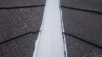 wp-1465288178147 image