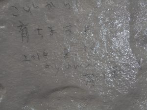 ADSCN2701