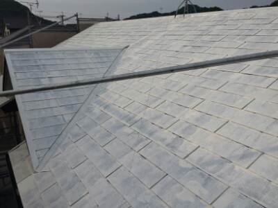 20160916_165422.jpg image