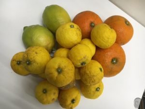 宗像市朝町にて外壁のひととき♪♪