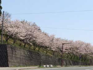 古賀市美明にて外壁のひととき♪♪