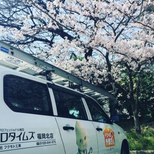 今週末は塗り替えセミナーを開催します♪