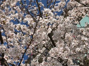 img_0435