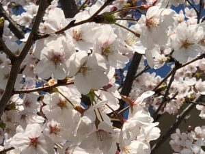 外壁のひととき♪♪「感謝のかべ」宗像市自由ヶ丘にて☆