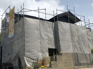 img_0541