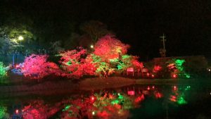 img_3719