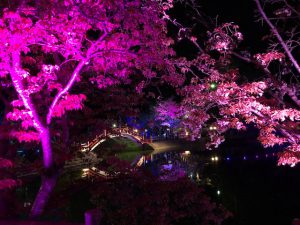 宗像外壁塗装☆お花見シーズン到来♪♪