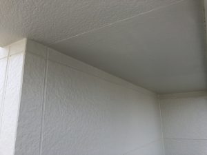 s__14458901