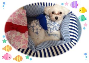 宗像外壁塗装☆施工事例のご紹介♪♪